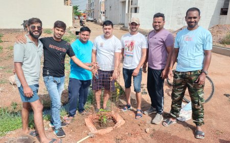 भूतपूर्व सैनिक  ने  अपने जन्मदिन पर रोपे  पौधे साथ ही पूर्व में लगाए गए पौधों का किया संरक्षण