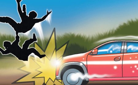 रायपुर में हिट एंड रन से दहशत: ट्रैफिक ड्यूटी में तैनात जवानों को पिकअप ने रौंदा...