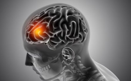 क्या आपका दिमाग खुद मिटा देता है बुरी यादें? रिसर्च में हुआ चौंकाने वाला खुलासा