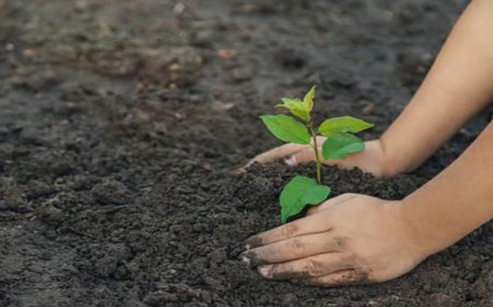 पर्यावरण संरक्षण के लिए वन विभाग की प्रेरणादायक पहल