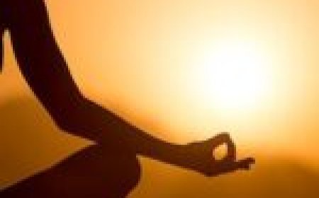 अन्तर्राष्ट्रीय योग दिवस पर 21 जून को प्रदेश में ’योग संगम-हरित योग’ थीम पर होगा विशेष कार्यक्रम