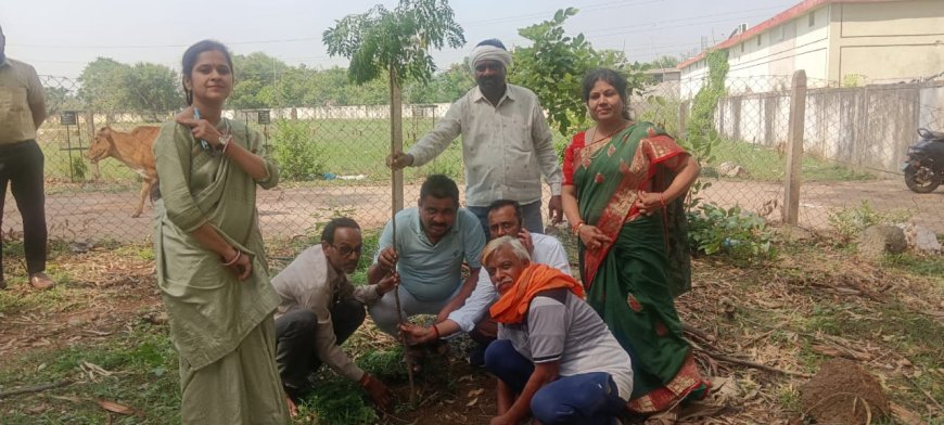 सेजश अमलेश्वर में  विश्व पर्यावरण दिवस पर किया गया पौधारोपण
