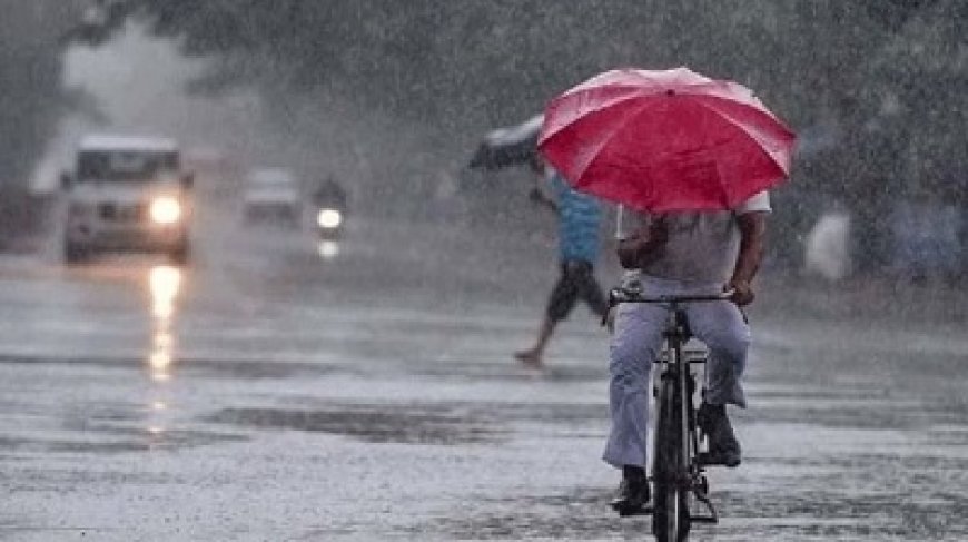 गुजरात-महाराष्ट्र में आज भी भारी बारिश का अलर्ट