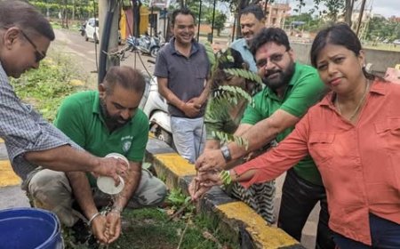 ग्रीन आर्मी का व्यापक वृक्षारोपण अभियान जारी: शहर को हरा-भरा बनाने में जनभागीदारी