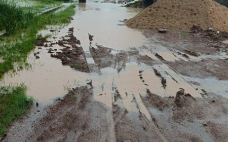 तेज बारिश से रास्ते हुए  जलमग्न भूल भुलैया  जैसा नजारा , कॉलोनी वासियों को आने-जाने में हो रही भारी परेशानियाँ अमलेश्वर वार्ड क्रमांक 8 ,एकता नगर व दुर्गा नगर का मामला ।
