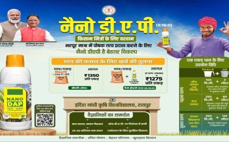नैनो डीएपी: सरकार ने किसानों के लिए की विशेष व्यवस्था