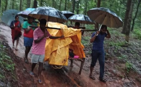 स्वास्थ्य सेवाओं की पोल खोलती खबर...., बीमार महिला को खाट पर लिटाकर 7 किमी पैदल चले परिजन