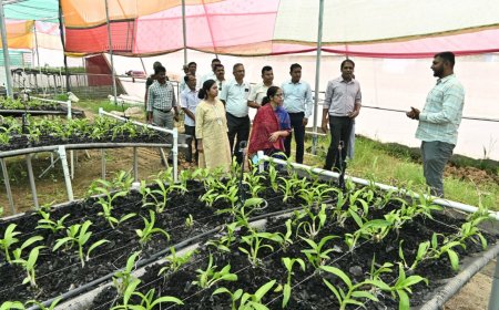 विकास की नई इबारत: धमतरी में बदलते ग्रामीण परिदृश्य की कहानी