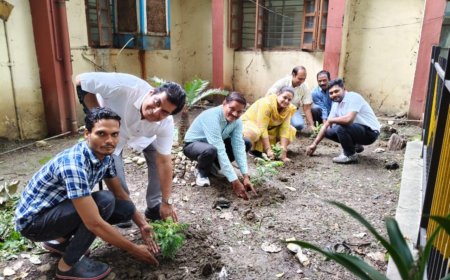 मीठी नीम की बगिया, पौधरोपण संपन्न