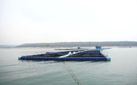 मछली पालन के क्षेत्र में एक नये युग की शुरूआत