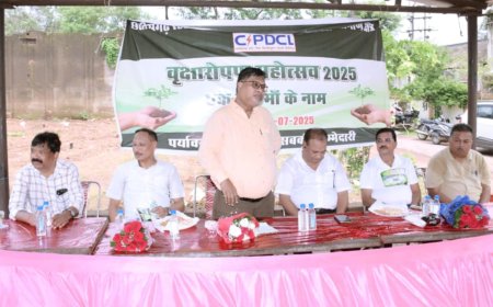 गुढ़ियारी कैंपस को हराभरा बनाने पॉवर कंपनी ने लगाए पौधे