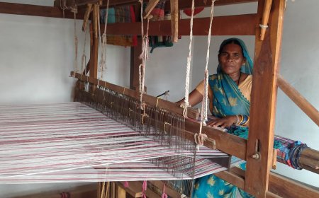 ज्योति बनीं आत्मनिर्भरता की मिसाल,  बदली ज़िंदगी