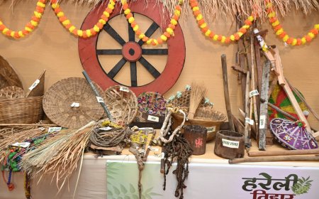 छत्तीसगढ़ी परंपराओं की झलक: कृषि यंत्रों के साथ बिखरी सांस्कृतिक छटा