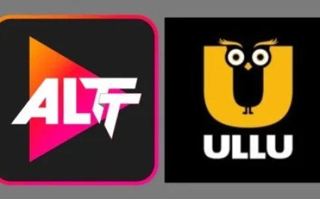 अश्लील कंटेंट पर सरकार का शिकंजा: ULLU-ALTT समेत 25 ऐप्स बैन