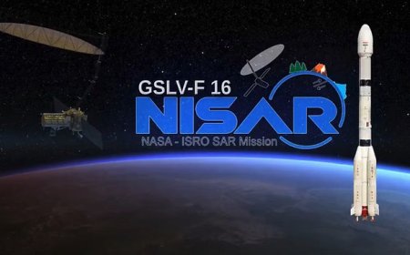 निसार मिशन 30 जुलाई को होगा लॉन्च: 12 दिन में पूरी पृथ्वी को करेगा स्कैन