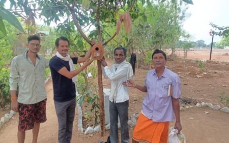 पंछियों के संरक्षण के लिए लगाया मिट्टी का बसेरा _ वैभव जगने