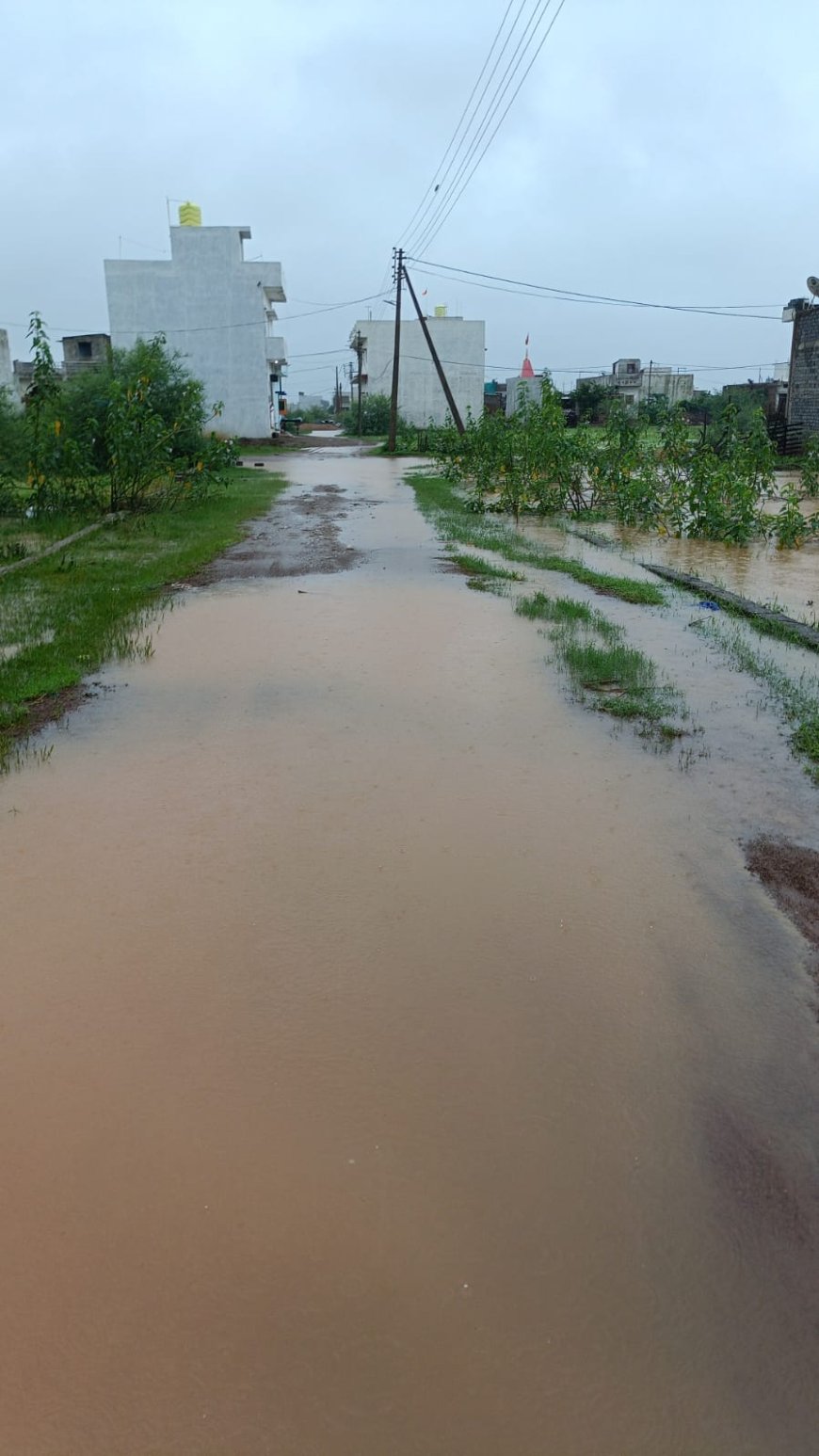 तेज बारिश से रास्ते हुए  जलमग्न भूल भुलैया  जैसा नजारा , कॉलोनी वासियों को आने-जाने में हो रही भारी परेशानियाँ अमलेश्वर वार्ड क्रमांक 8 ,एकता नगर व दुर्गा नगर का मामला ।