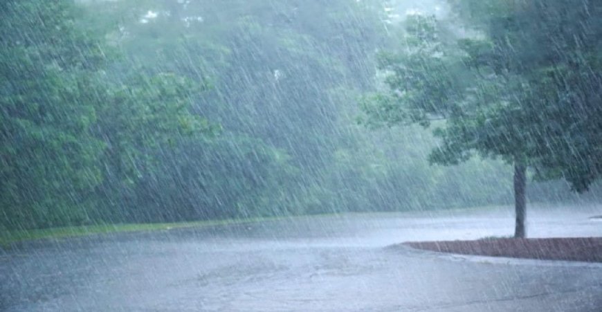 भारी बारिश के चलते स्कूलों की छुट्टी, कलेक्टर ने दिया आदेश