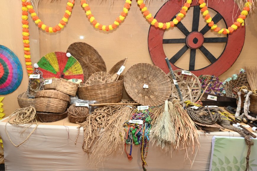 छत्तीसगढ़ी परंपराओं की झलक: कृषि यंत्रों के साथ बिखरी सांस्कृतिक छटा