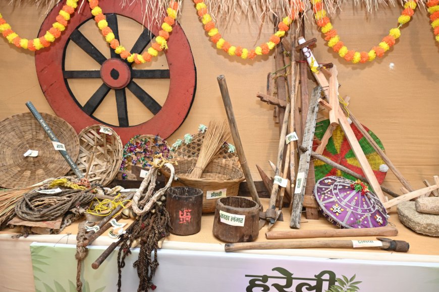 छत्तीसगढ़ी परंपराओं की झलक: कृषि यंत्रों के साथ बिखरी सांस्कृतिक छटा
