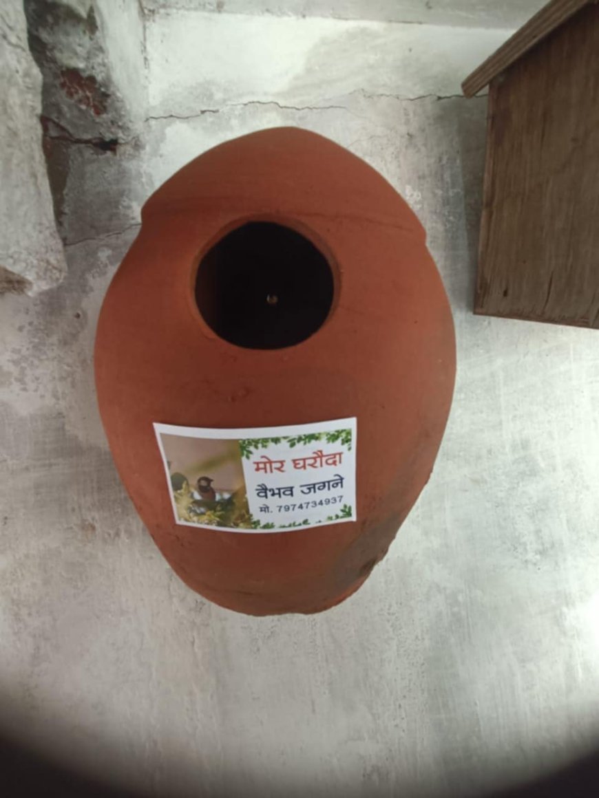 पंछियों के संरक्षण के लिए लगाया मिट्टी का बसेरा _ वैभव जगने