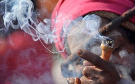 अब गांजा पीने वाले भी जाएंगे जेल, रायपुर पुलिस ने शुरू की कार्रवाई