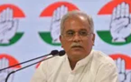 सरकार को 14 मंत्री बनाने की कब मिली अनुमति ?