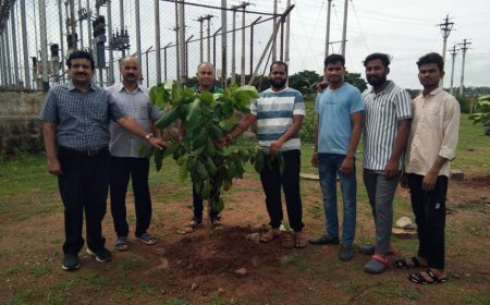 महुदा विद्यूत सब स्टेशन ,छ.ग.पर्यावरण मित्र समिति द्वारा रोपित पौधे से होगा हरा भरा ,छायादार व फलदार 50 नग पौधे का हुआ रोपण