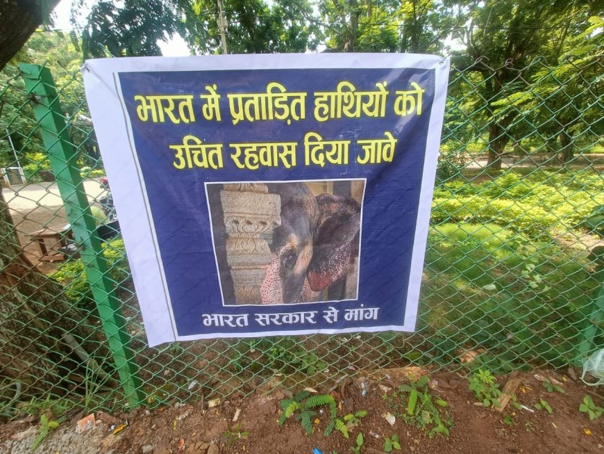 प्रताड़ित हाथियों के लिए उचित रहवास की मांग भारत सरकार से