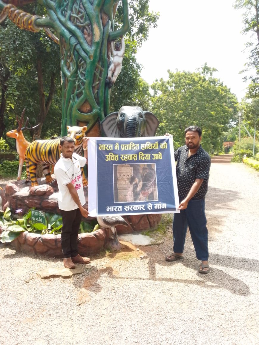 प्रताड़ित हाथियों के लिए उचित रहवास की मांग भारत सरकार से