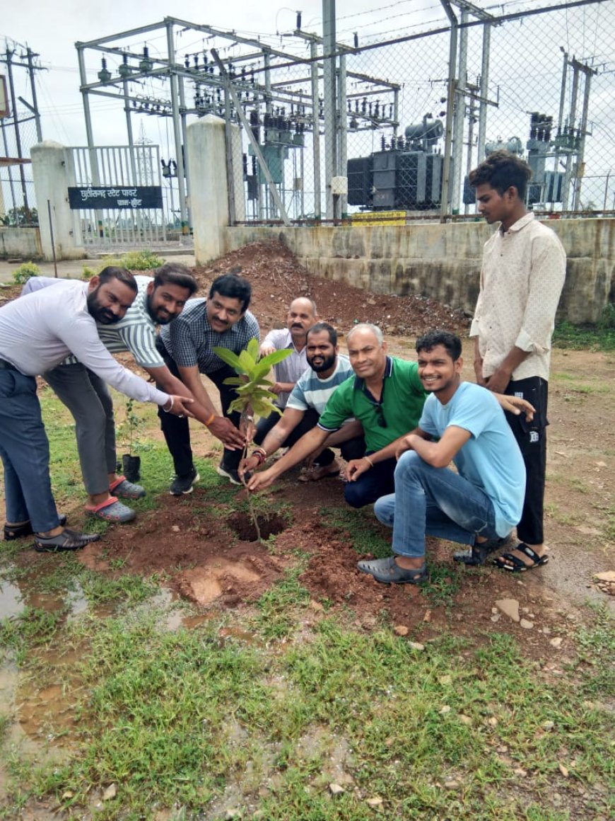 महुदा विद्यूत सब स्टेशन ,छ.ग.पर्यावरण मित्र समिति द्वारा रोपित पौधे से होगा हरा भरा ,छायादार व फलदार 50 नग पौधे का हुआ रोपण