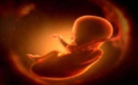 AIIMS में पहली बार हुआ भ्रूण दान, जैन दंपति ने दिखाई ह‍िम्मत, इससे र‍िसर्च को मिलेगी नई दिशा