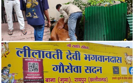 बीमार गाय को लीलावती देवी भगवान दास गौ सेवा सदन  द्वारा इलाज को ले जाया गया