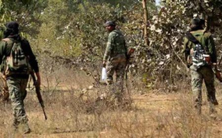 गरियाबंद में मुठभेड़: 10 नक्सली ढेर, कमांडर भी मारा गया...