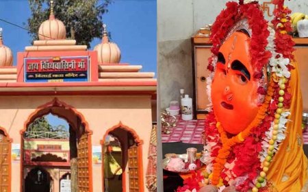 धमतरी की बिलाई माता: बिल्लियों से जुड़ी है स्थापना की कथा...