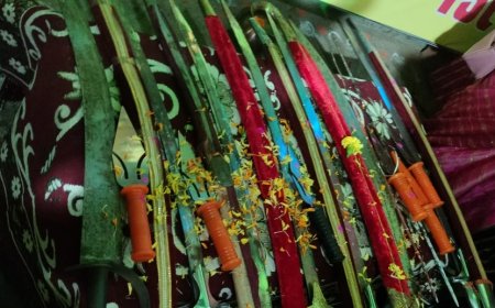 नवरात्रि पर दुर्गा वाहिनी ने किया शस्त्र पूजन