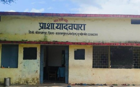 एकल शिक्षकीय विद्यालय से अब विषयवार पढ़ाई की ओर बदलाव, बच्चों में बढ़ा आत्मविश्वास