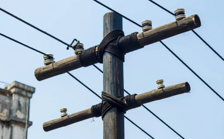 दुर्गा पूजा पंडाल में करंट लगने से दो बच्चों की दर्दनाक मौत, PWD मंत्री ने दिए जांच के आदेश