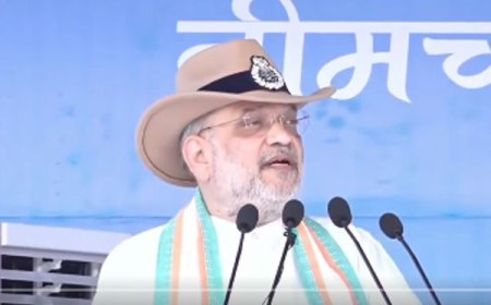 अमित शाह के दौरे को लेकर बस्तर में फोर्स अलर्ट पर