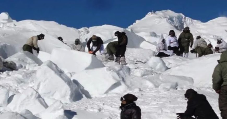 सियाचिन ग्लेशियर पर हिमस्खलन: तीन जवान शहीद, बचाव अभियान जारी