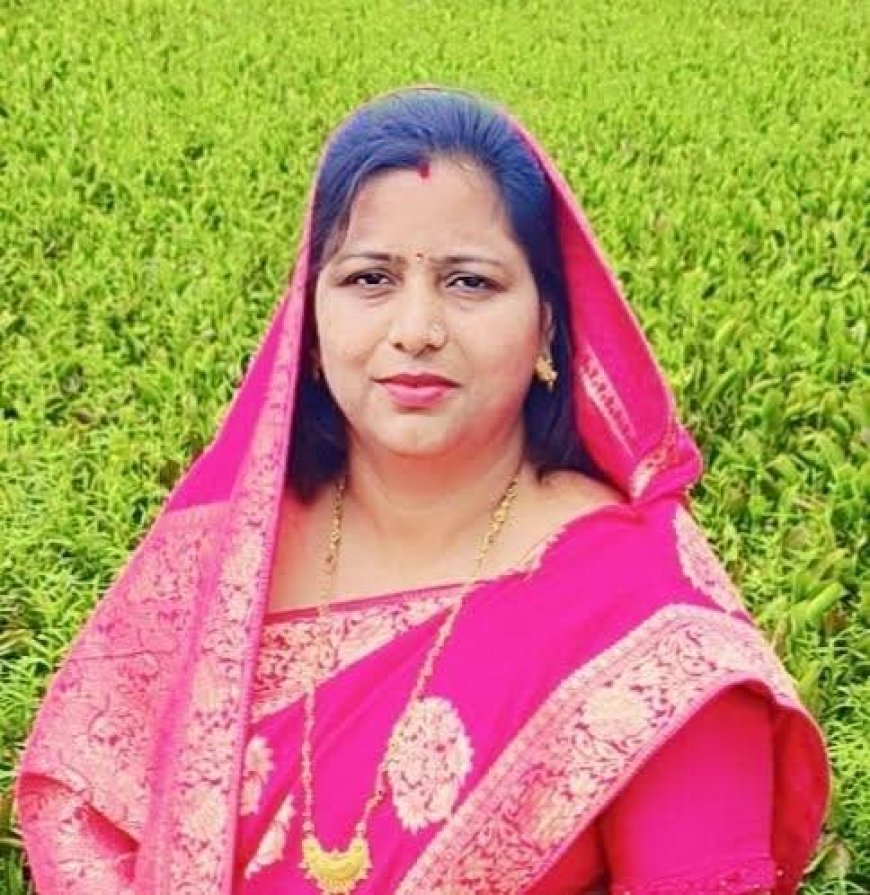 सोलर सब्सिडी की बात कर सरकार असल मुद्दों से भाग रही है- डॉ रश्मि चंद्राकर