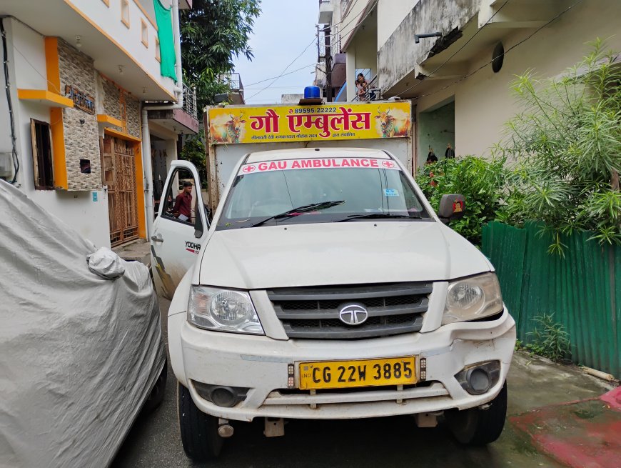बीमार गाय को लीलावती देवी भगवान दास गौ सेवा सदन  द्वारा इलाज को ले जाया गया