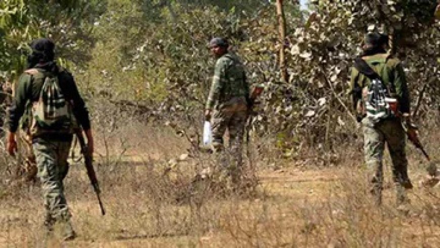गरियाबंद में मुठभेड़: 10 नक्सली ढेर, कमांडर भी मारा गया...