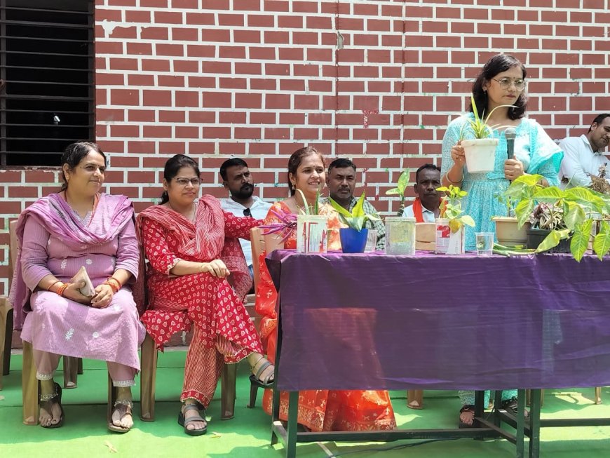 सेजस अमलेश्वर में औषधीय एवं फलदार पौधों पर अतिथि व्याख्यान* : छात्रों ने जाना प्रकृति का महत्व