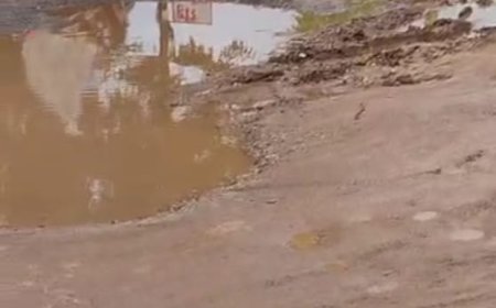 सड़क पर गड्ढे या गड्ढे पर सड़क!, हिचकोले खाते वाहन.....