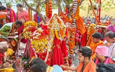 बस्तर दशहरा : ‘कुटुंब जात्रा’ रस्म के साथ हुई देवी-देवताओं का ससम्मान विदाई