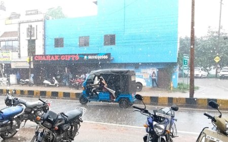 राजधानी के मौसम का मिज़ाज बिगड़ा: ठंड गायब