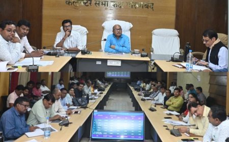 राज्योत्सव में प्रदर्शित होंगी जिले की उपलब्धियाँ, विभागों को सौंपे गए दायित्व