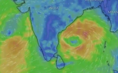मोंथा’ का असर : फसल खराब होने की आशंका, 8 जिलों के लिए यलो अलर्ट जारी