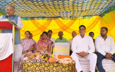 सरदार वल्लभभाई पटेल का प्रतिमा अनावरण समारोह